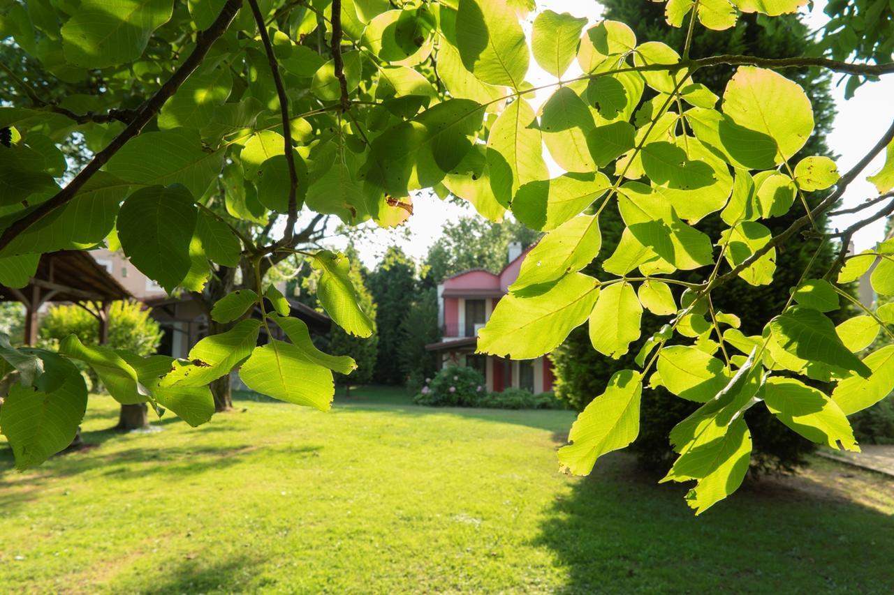 Kirkpinar Konaklari Villa Sapanca Bagian luar foto